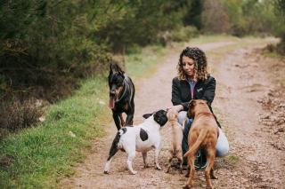 Combien coûte un chien par an ? Le budget réel